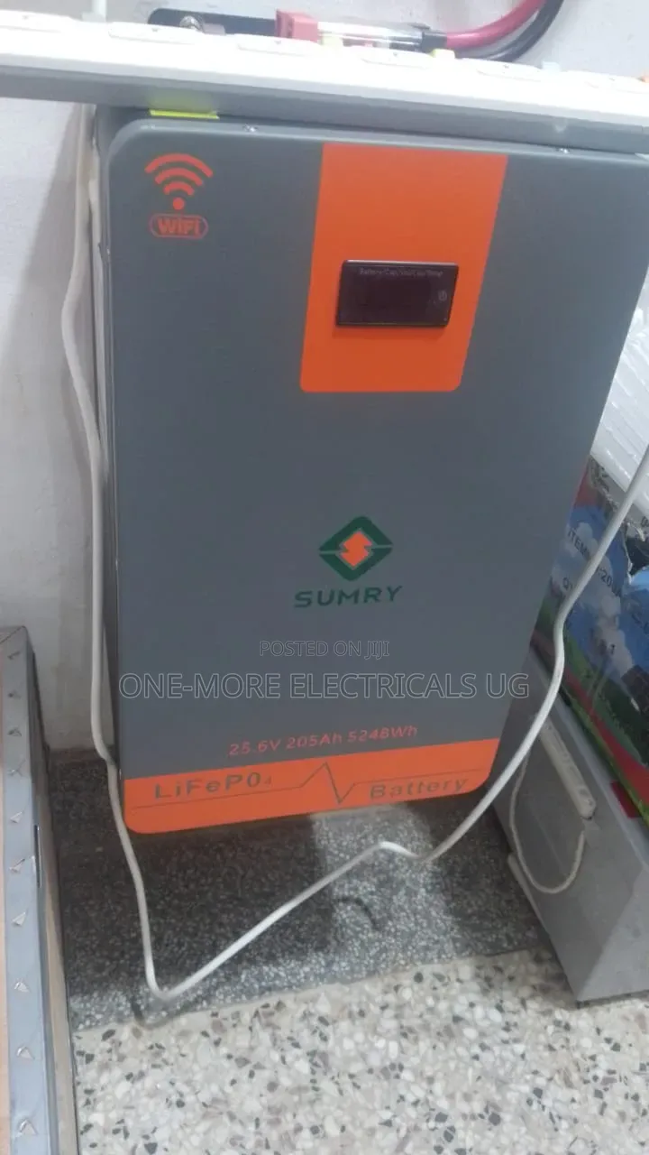 Affordable Lithium Battery 2.5kwh/205ah/24volts