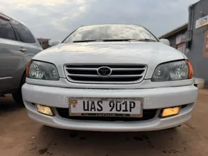 Toyota Ipsum 2000 White