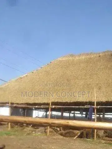 We Build Grass Thatched Luxury Shades