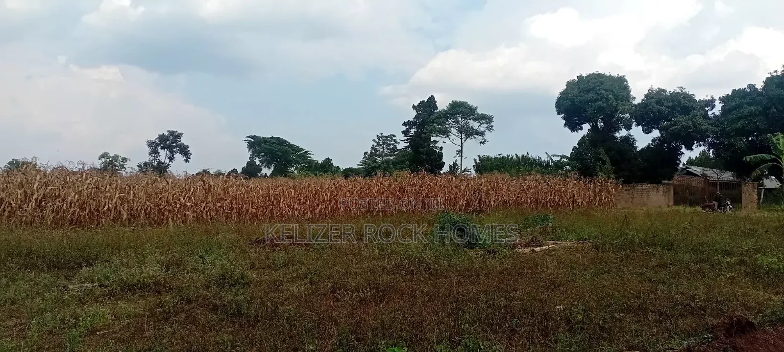 Land on Sale
