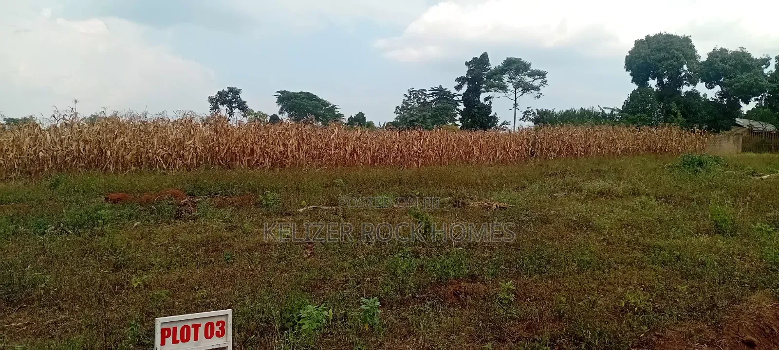 Land on Sale
