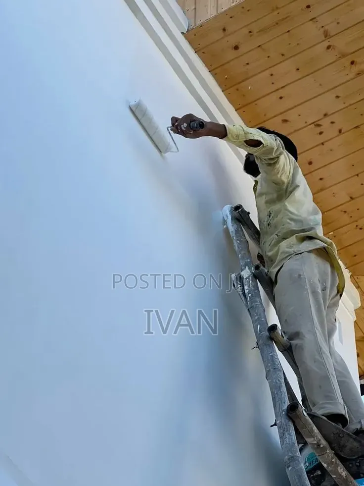Professional Painting Decoration Services | Nisipe General Traders