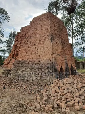 Clay Bricks