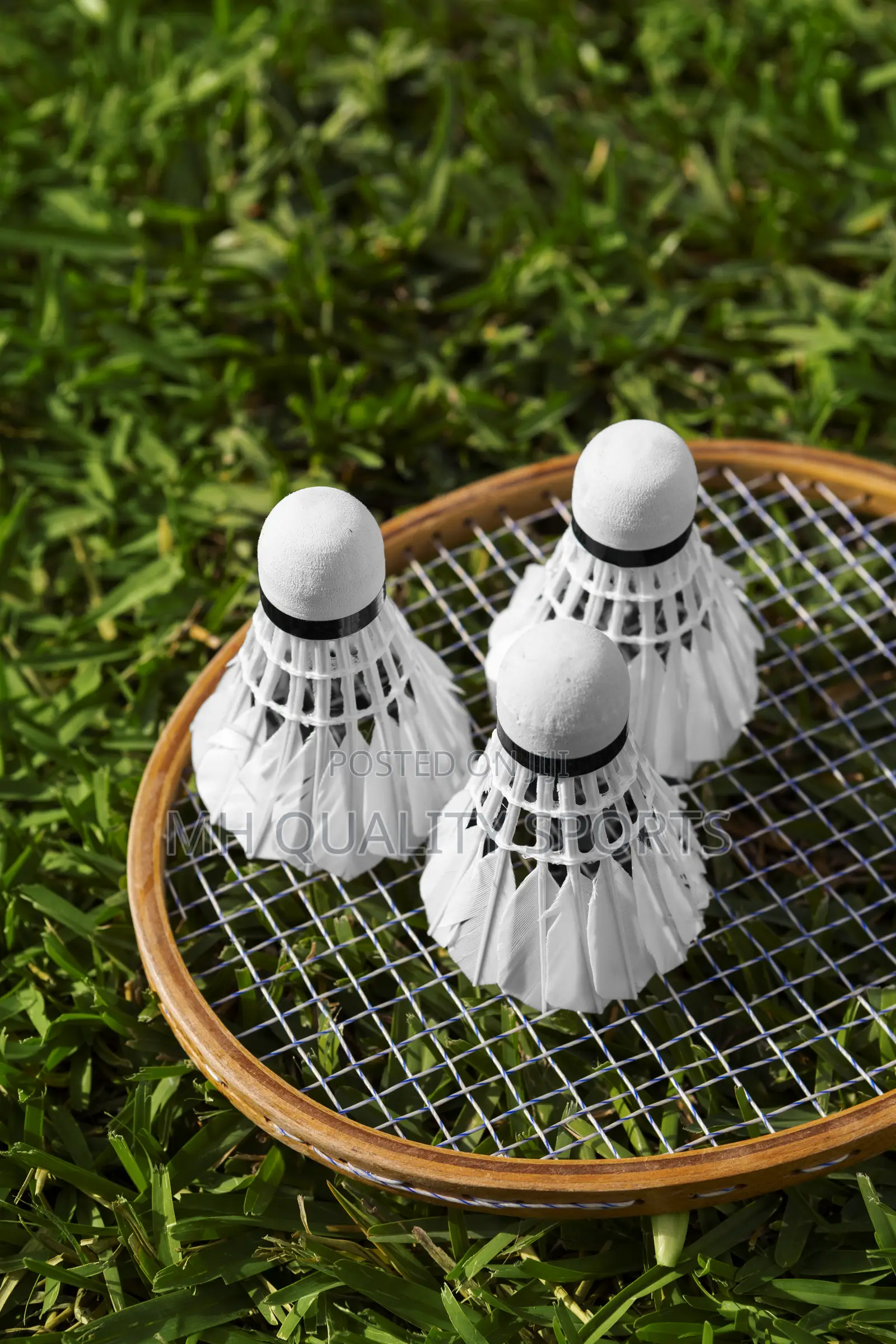 Badminton Shuttle