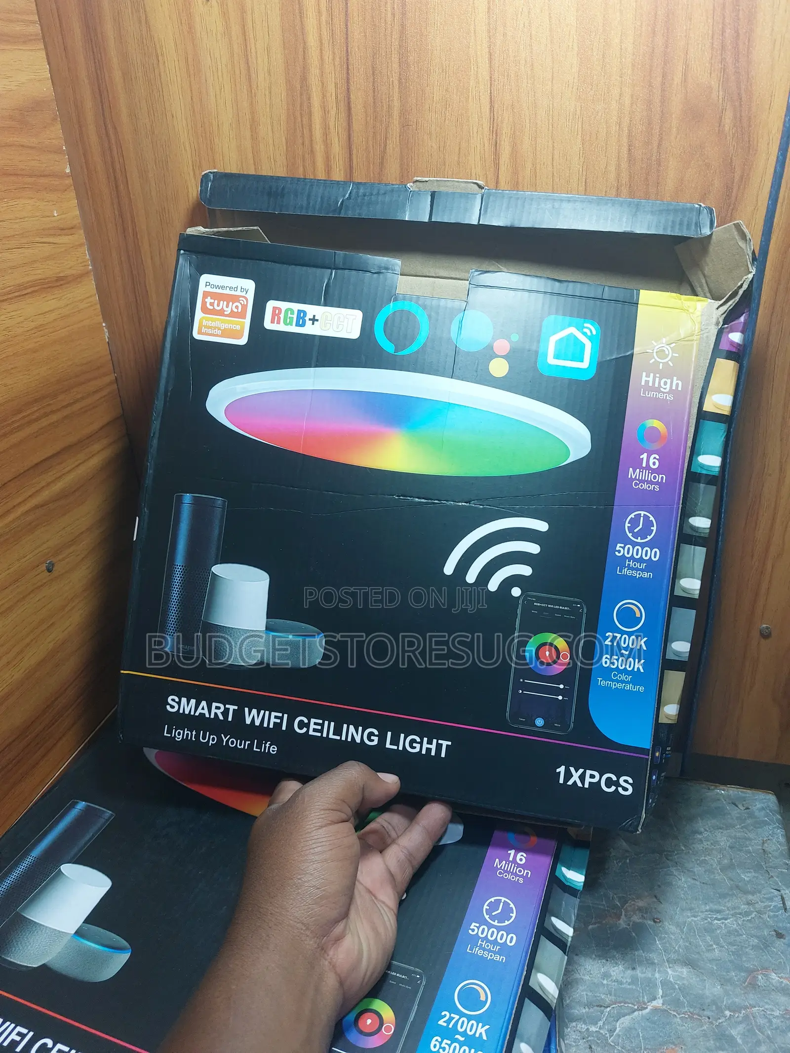 Smart Ceiling Lamp