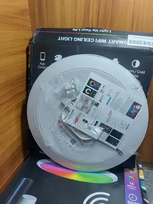 Smart Ceiling Lamp