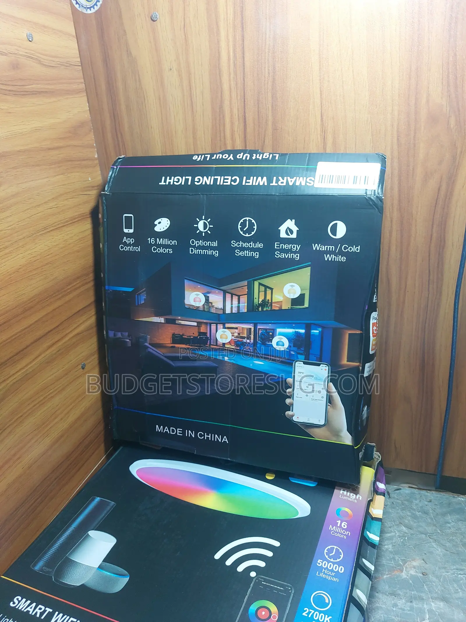 Smart Ceiling Lamp