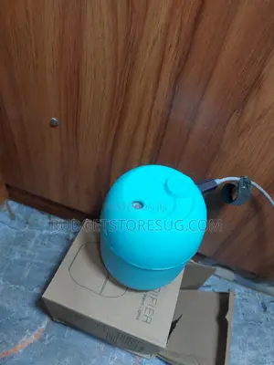 Mini Mist Diffuser Ultrasonic Air Humidifier