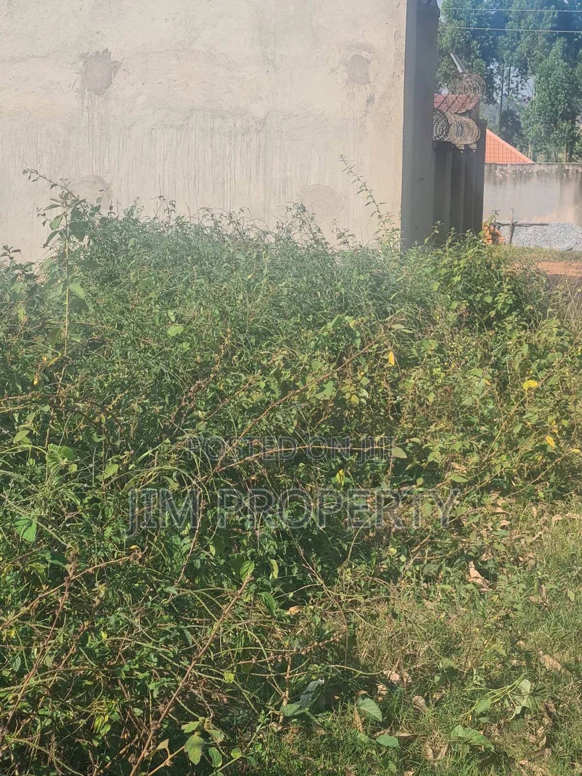 For Sale Title at Gayaza Manyangwa 50x100