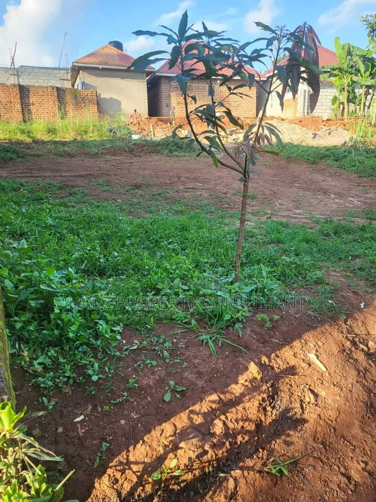 Plot on Sale