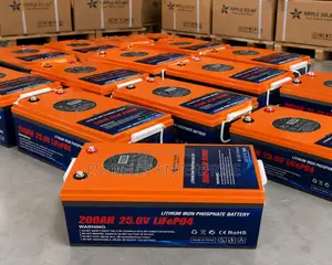 Lithium Battery 24V 200ah LifePO4 5.12Kwh