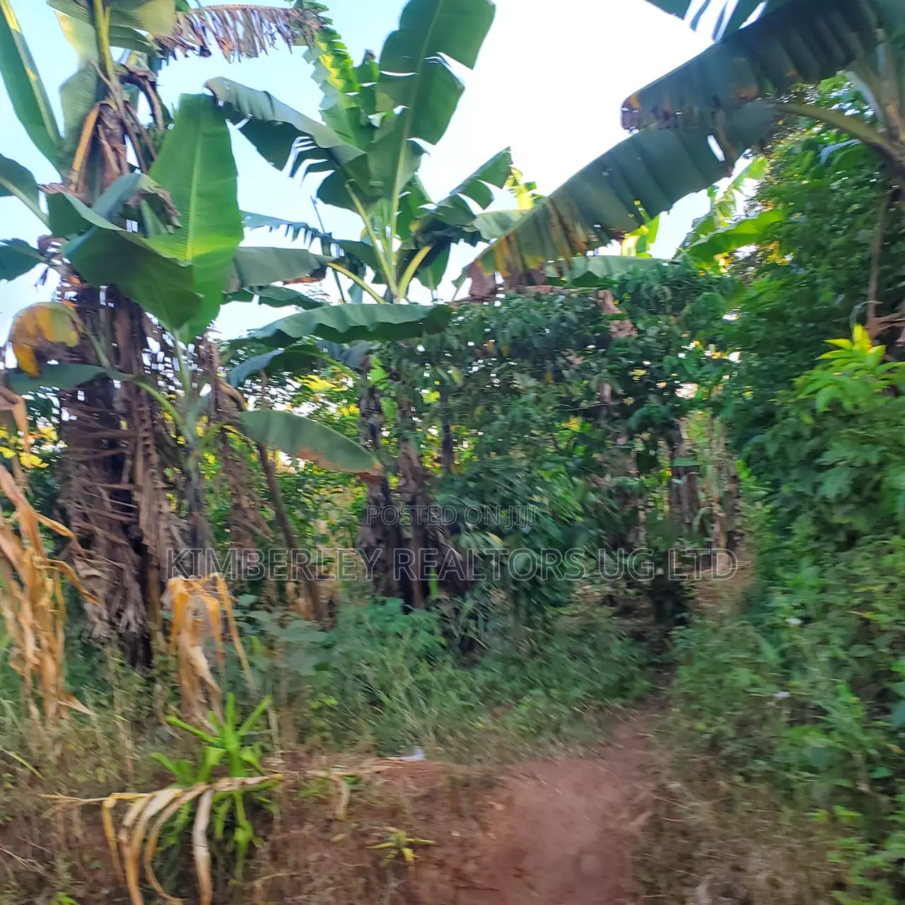 5 Acres of Land for Sale – Kiwenda Nazareth