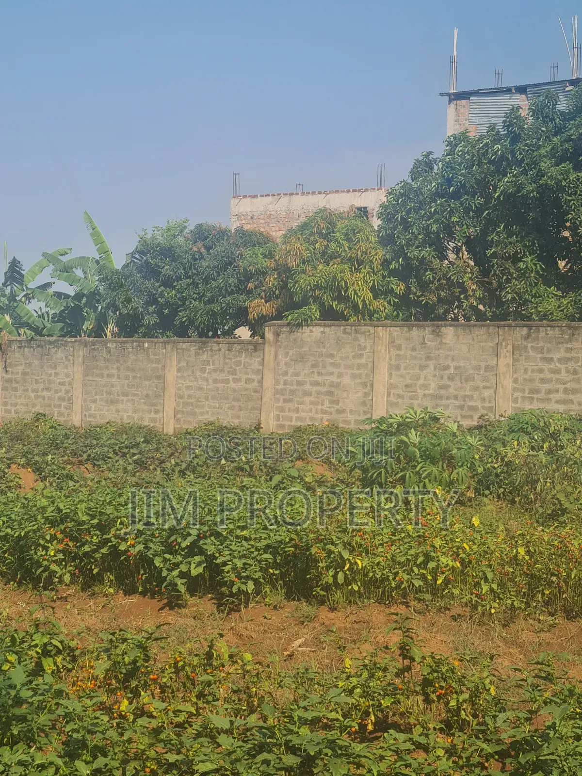 Titled Land for Sale at Bwebajja Entebe Road 50x100