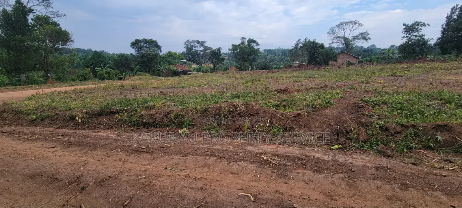 Kakiri Nampunge, Ready Titles
