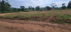 Kakiri Nampunge, Ready Titles