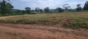 Kakiri Nampunge, Ready Titles