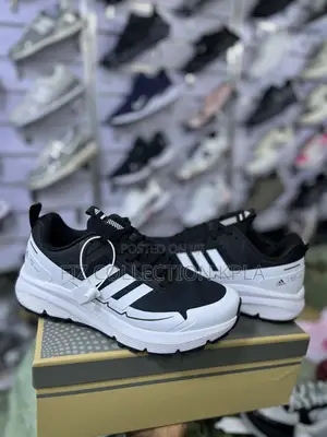 Adidas Questar Black White Running | Lightweight Sports Shoes for Men