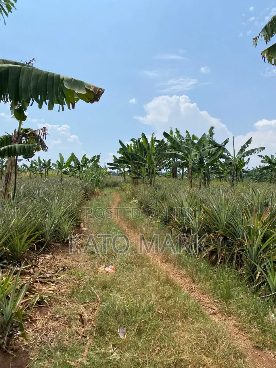 7 Acres for Sale at Kayunga Kitwe
