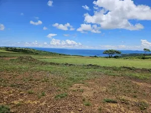 50*100ft Lake View Plots in Kisigula-Buikwe