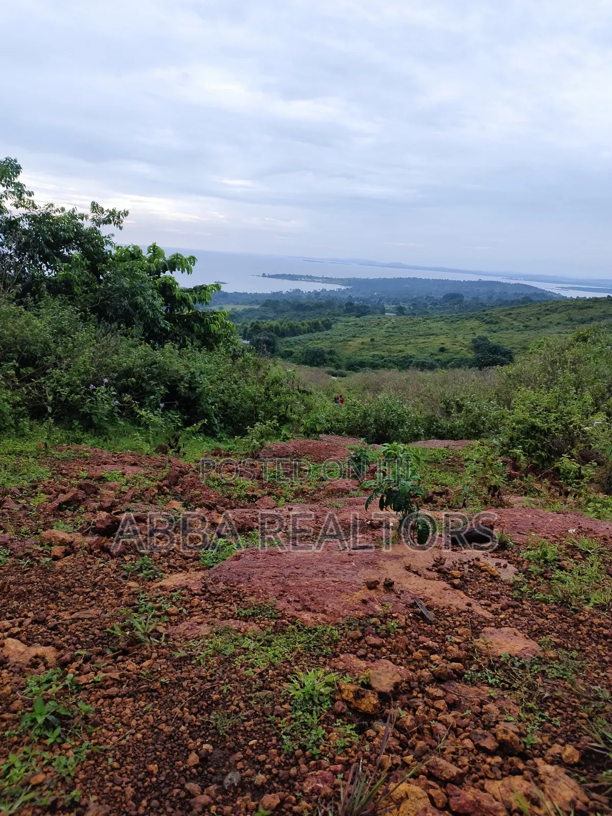 50*100ft Lake View Plots in Kisigula-Buikwe