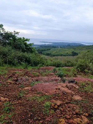 50*100ft Lake View Plots in Kisigula-Buikwe