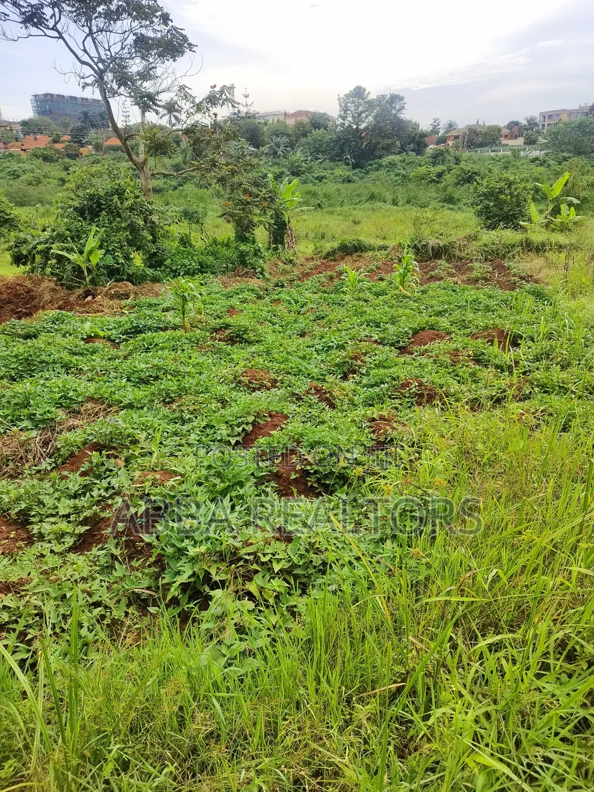 Plots in Mpigi-Mpambire