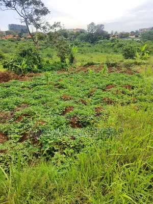 Plots in Mpigi-Mpambire