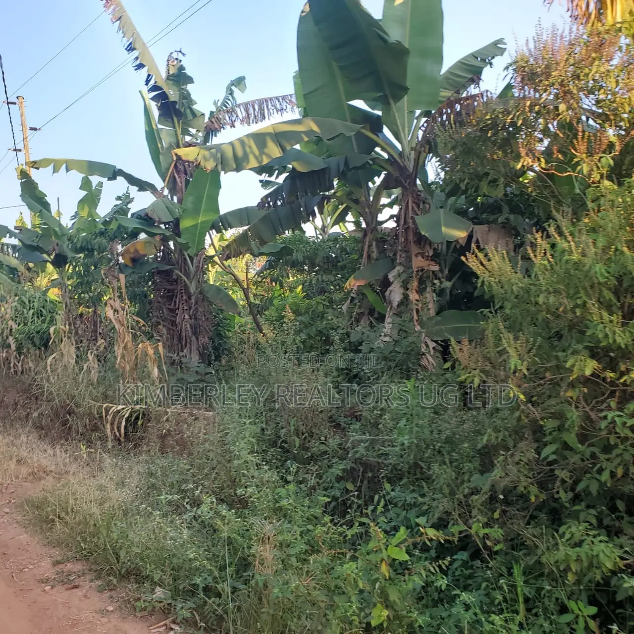 Commercial Land for Sale – Kisasi
