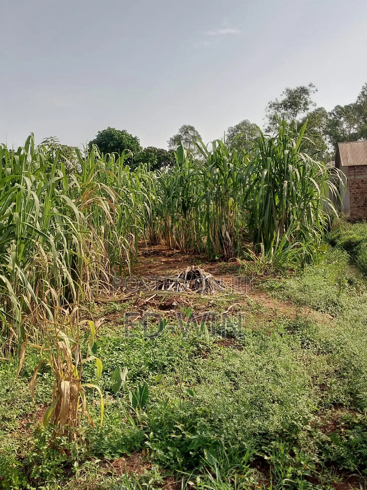 87 Decimals in Kawempe