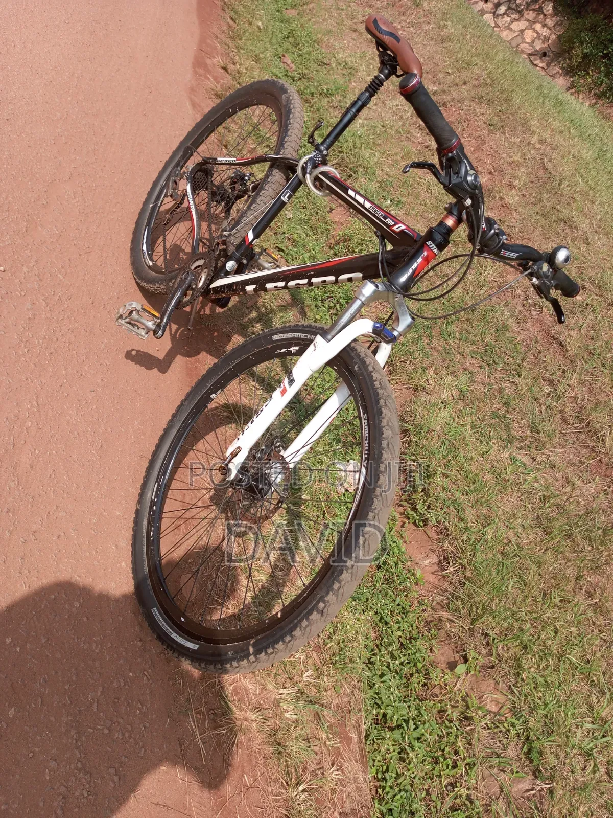 Mountain Bike Size 29