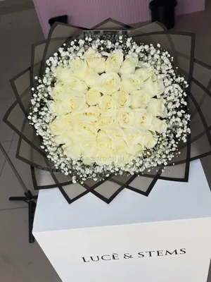 White Roses Gyps Bouquet