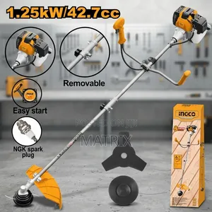 INGCO Gasoline Grass Trimmer and Bush Cutter