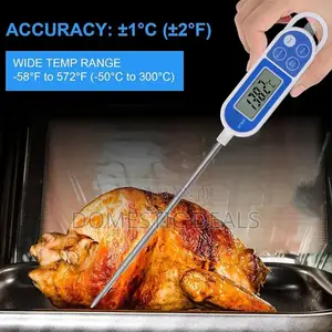 Digital Food Thermometer