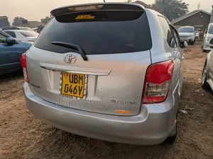 Toyota Corolla Fielder 2009 Silver