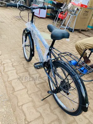 Denso Quality Racer- REF Bike -Size 24”