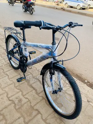 Denso Quality Racer- REF Bike -Size 24”