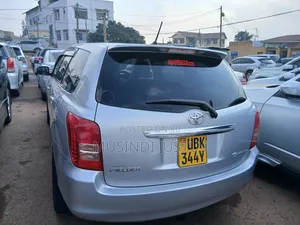 Toyota Corolla Fielder 2008 Silver