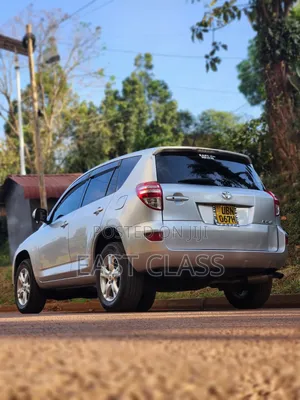 Toyota RAV4 2010 Silver