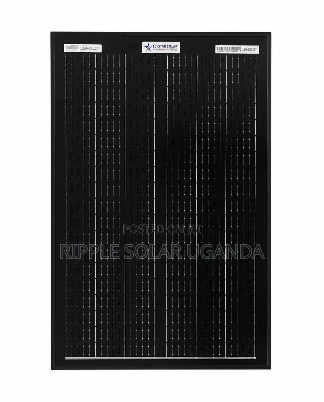 30W Monocrystalline Solar Panel 12V High Efficiency Battery Charger