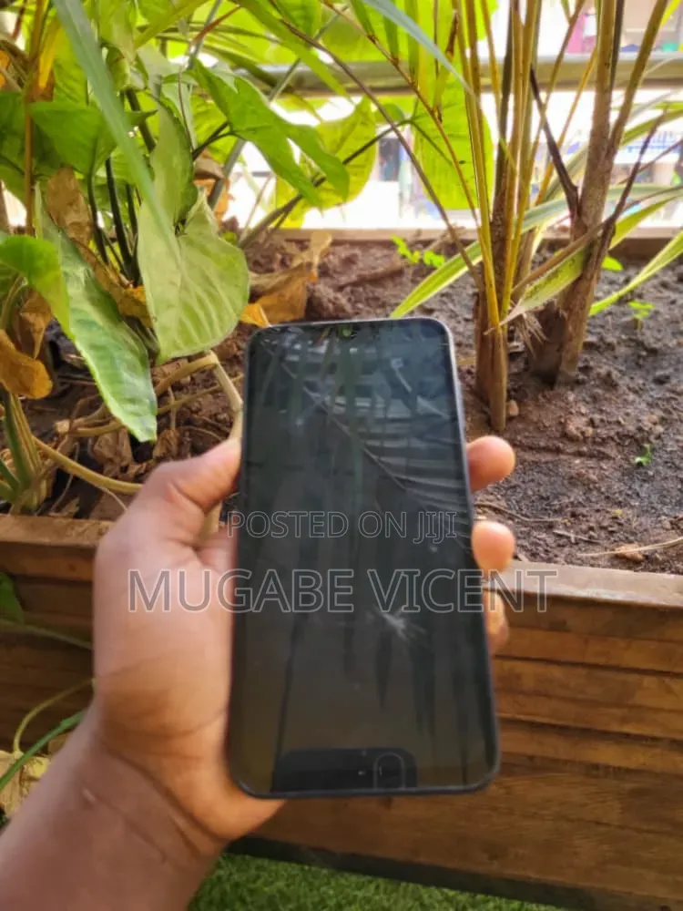 Samsung Galaxy A15 128 GB Blue