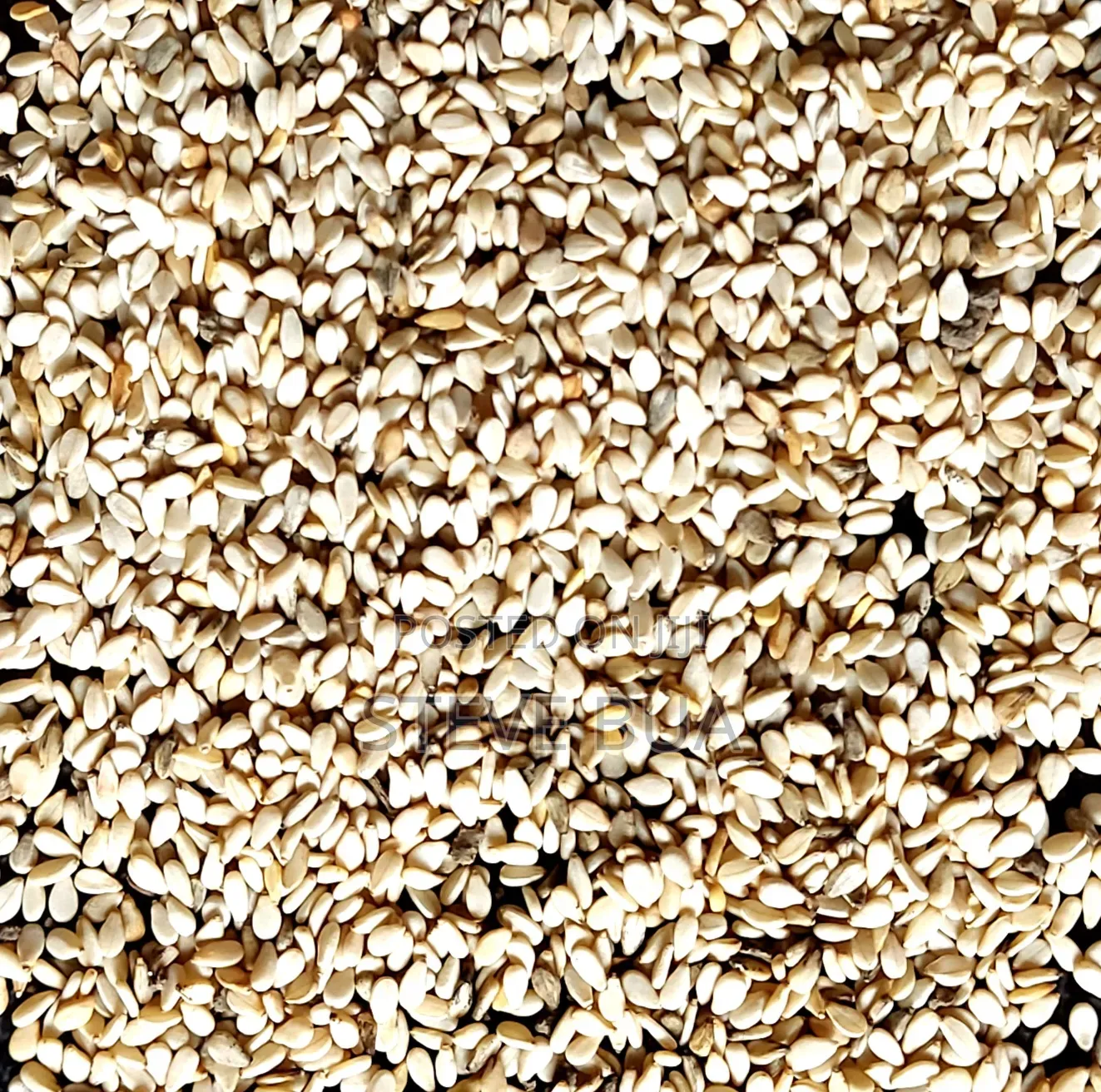 Simsim Seeds