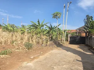 50 Decimals for Sale in Ntinda