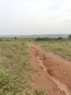 Estate Plots for Sale – Entebbe Road Ngongolo
