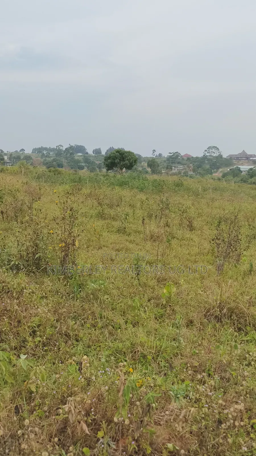 Estate Plots for Sale – Entebbe Road Ngongolo