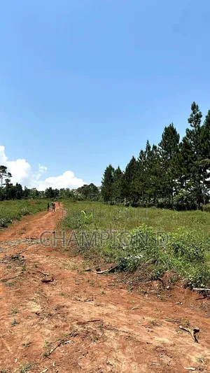 Kisoga Estate Up for Sale
