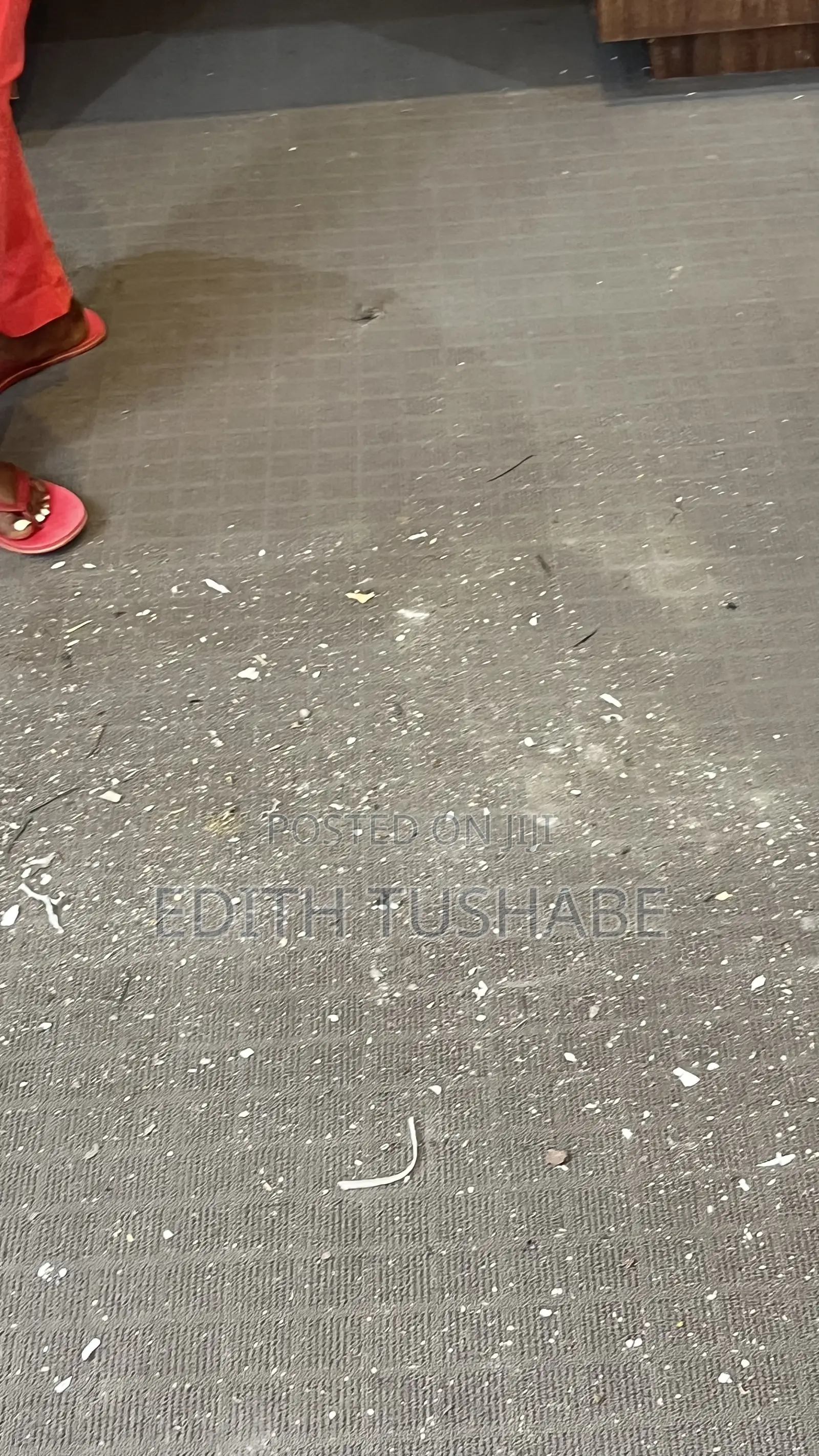 Carpet Cleaning