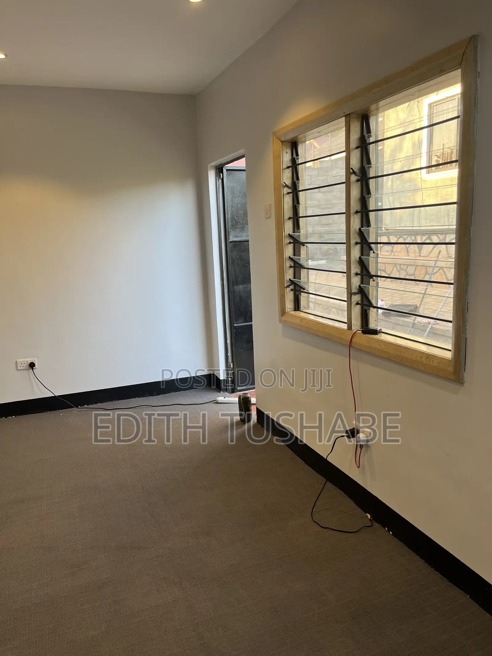 Carpet Cleaning
