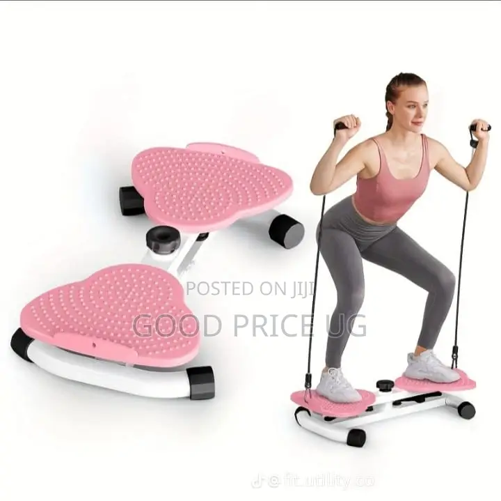 Ab Twister Machine and Waist Twisting Fitness Board