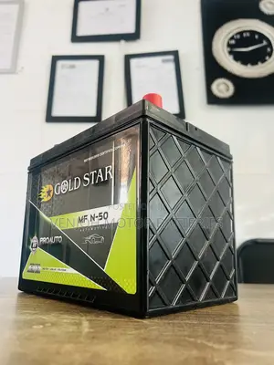 N50 Maintenance Free Gold Star