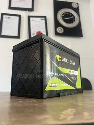 N70 Maintenance Free Gold Star Car Battery